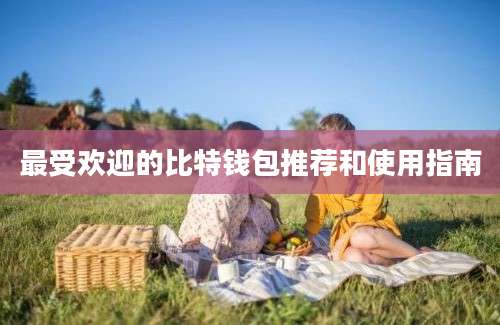最受欢迎的比特钱包推荐和使用指南