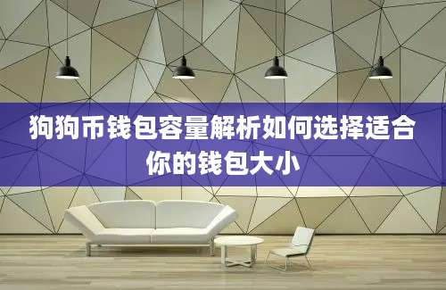 狗狗币钱包容量解析如何选择适合你的钱包大小