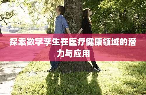 探索数字孪生在医疗健康领域的潜力与应用