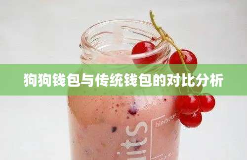 狗狗钱包与传统钱包的对比分析
