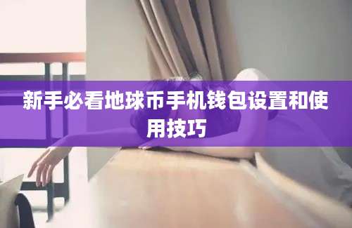 新手必看地球币手机钱包设置和使用技巧
