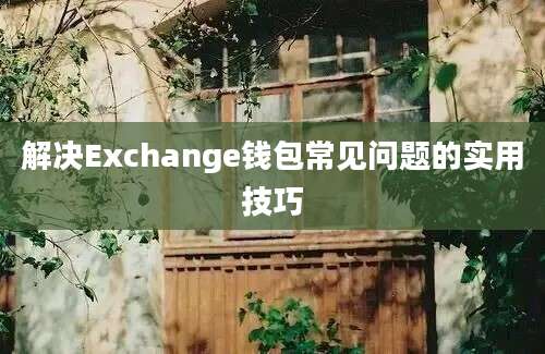 解决Exchange钱包常见问题的实用技巧