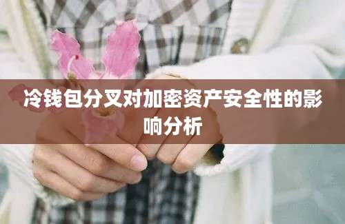 冷钱包分叉对加密资产安全性的影响分析