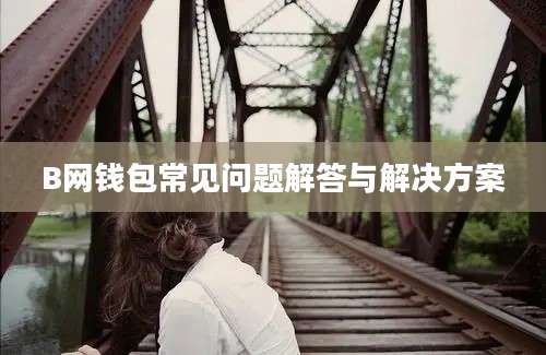 B网钱包常见问题解答与解决方案