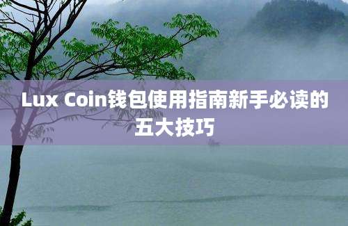Lux Coin钱包使用指南新手必读的五大技巧