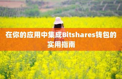 在你的应用中集成Bitshares钱包的实用指南