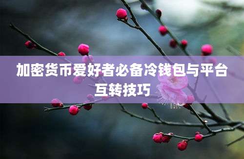 加密货币爱好者必备冷钱包与平台互转技巧