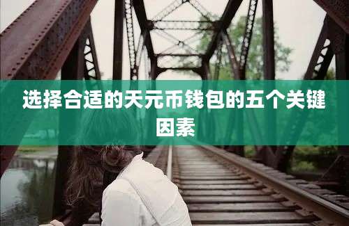 选择合适的天元币钱包的五个关键因素