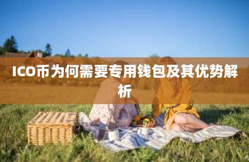 ICO币为何需要专用钱包及其优势解析