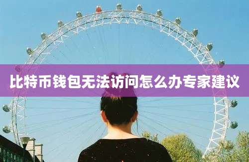 比特币钱包无法访问怎么办专家建议