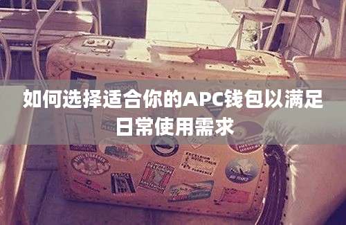 如何选择适合你的APC钱包以满足日常使用需求