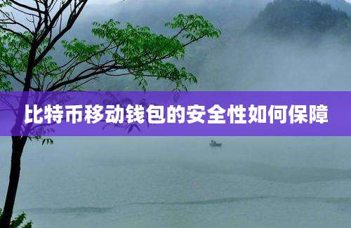 比特币移动钱包的安全性如何保障