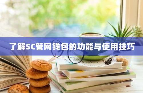 了解SC管网钱包的功能与使用技巧