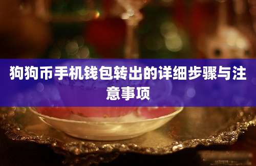 狗狗币手机钱包转出的详细步骤与注意事项