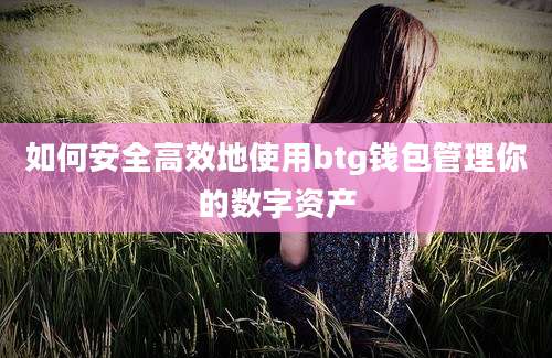 如何安全高效地使用btg钱包管理你的数字资产