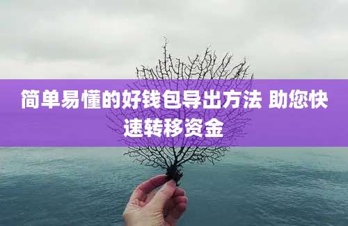 简单易懂的好钱包导出方法 助您快速转移资金