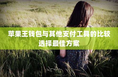苹果王钱包与其他支付工具的比较选择最佳方案