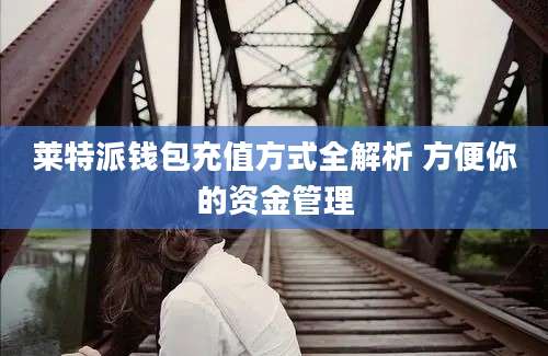 莱特派钱包充值方式全解析 方便你的资金管理