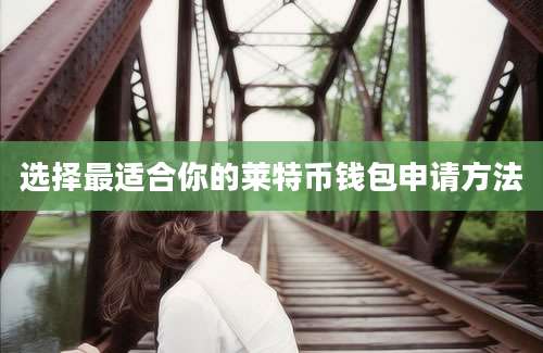 选择最适合你的莱特币钱包申请方法