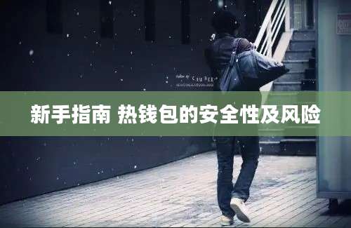 新手指南 热钱包的安全性及风险