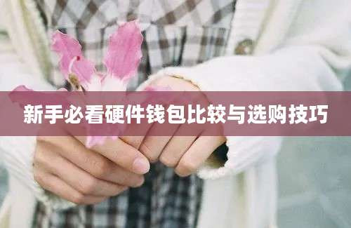 新手必看硬件钱包比较与选购技巧