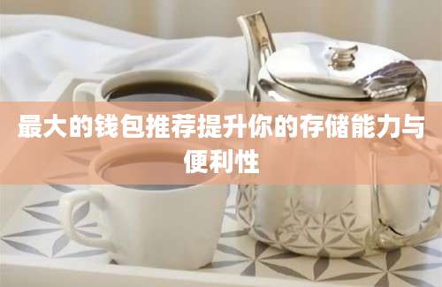 最大的钱包推荐提升你的存储能力与便利性