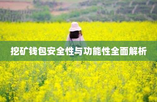 挖矿钱包安全性与功能性全面解析