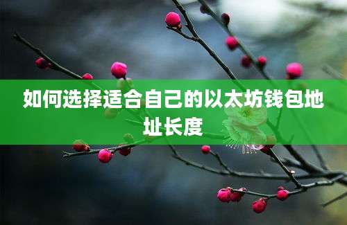 如何选择适合自己的以太坊钱包地址长度