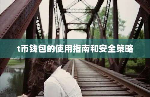 t币钱包的使用指南和安全策略