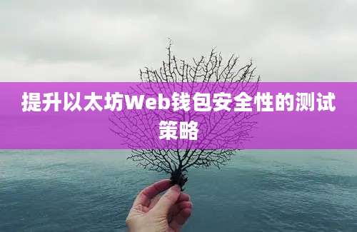 提升以太坊Web钱包安全性的测试策略
