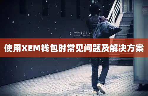 使用XEM钱包时常见问题及解决方案