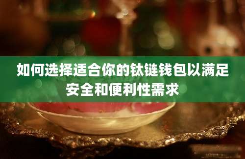 如何选择适合你的钛链钱包以满足安全和便利性需求