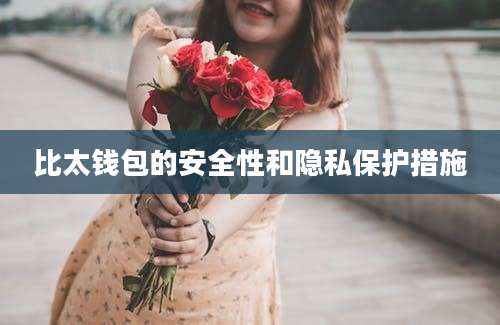 比太钱包的安全性和隐私保护措施