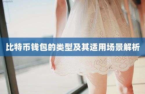 比特币钱包的类型及其适用场景解析