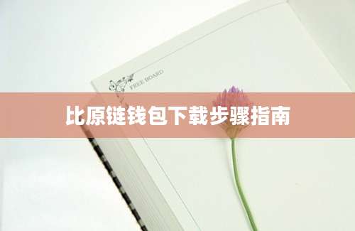 比原链钱包下载步骤指南