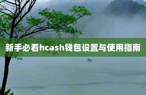 新手必看hcash钱包设置与使用指南