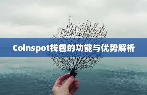 Coinspot钱包的功能与优势解析