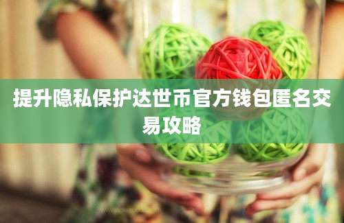 提升隐私保护达世币官方钱包匿名交易攻略