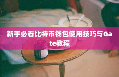 新手必看比特币钱包使用技巧与Gate教程