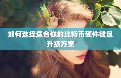 如何选择适合你的比特币硬件钱包升级方案