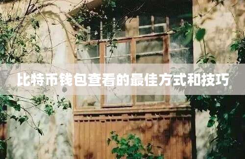 比特币钱包查看的最佳方式和技巧