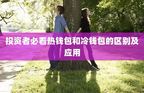 投资者必看热钱包和冷钱包的区别及应用