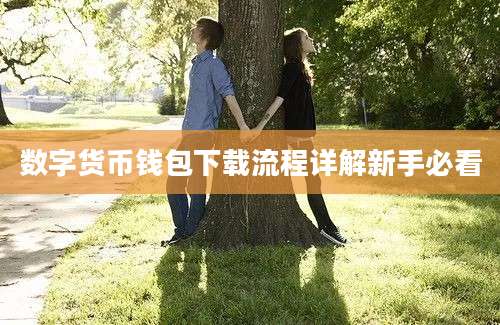 数字货币钱包下载流程详解新手必看