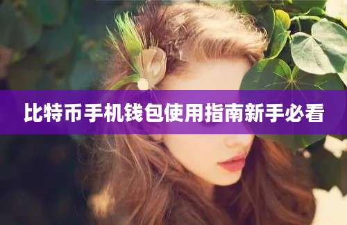 比特币手机钱包使用指南新手必看