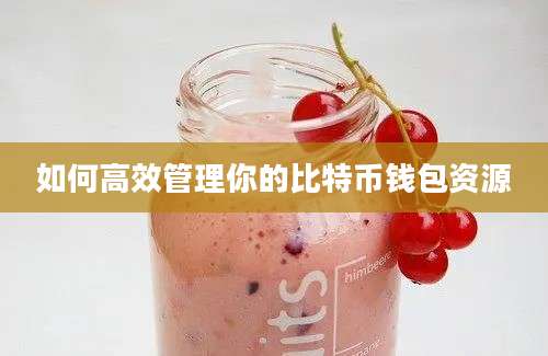 如何高效管理你的比特币钱包资源
