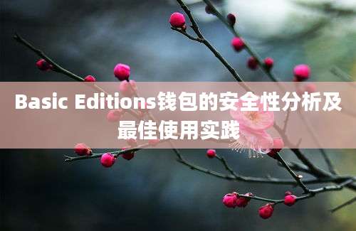 Basic Editions钱包的安全性分析及最佳使用实践