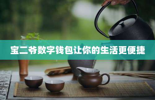 宝二爷数字钱包让你的生活更便捷