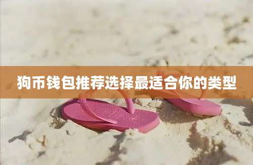 狗币钱包推荐选择最适合你的类型