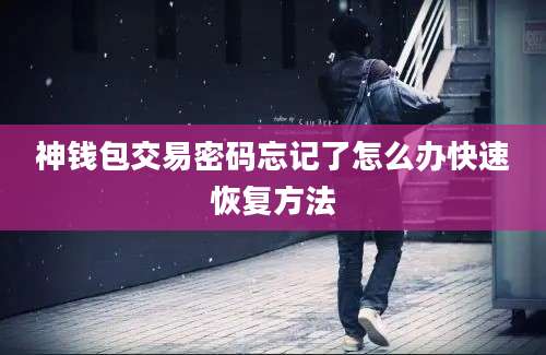 神钱包交易密码忘记了怎么办快速恢复方法