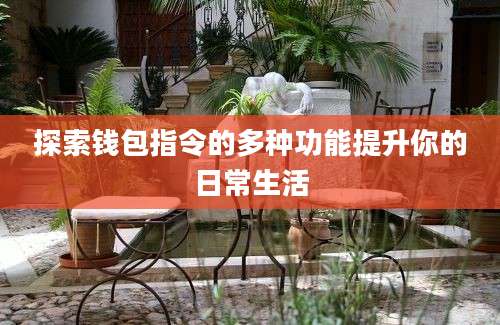 探索钱包指令的多种功能提升你的日常生活
